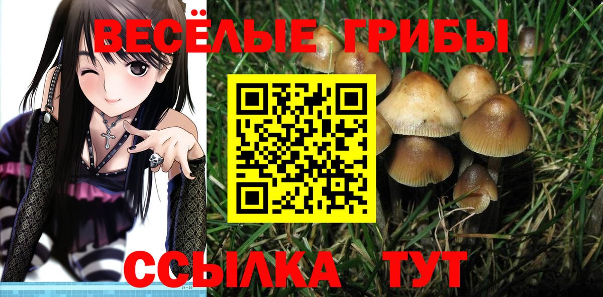 Хабаровск  Галлюциногенные грибы GOLDEN TEACHER  Вход с VPN  купить наркотики цена  Галлюциногенные грибы ЛСД 