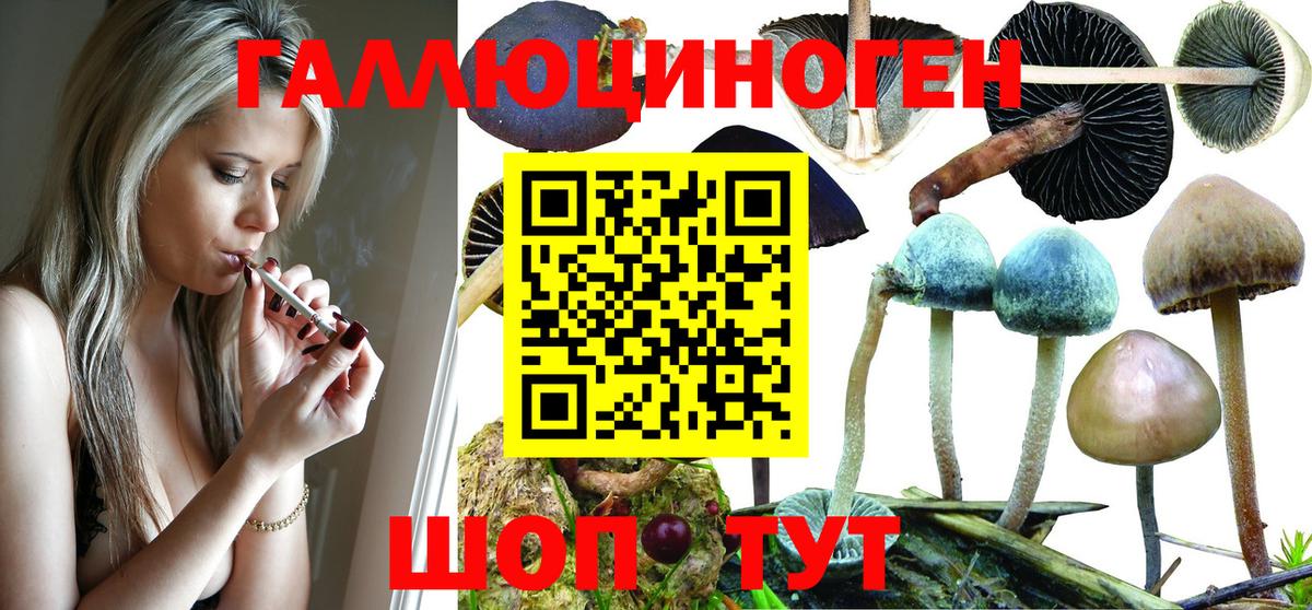Псилоцибиновые грибы ЛСД Хабаровск